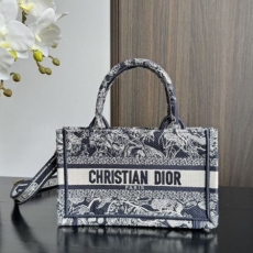 Christian Dior Shopping Bags